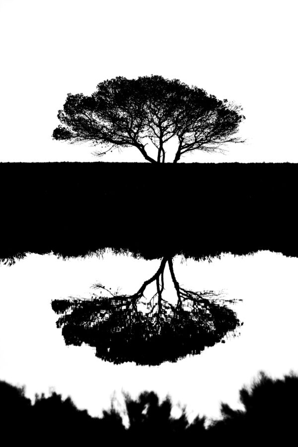 Reflet des Âmes Silencieuses
